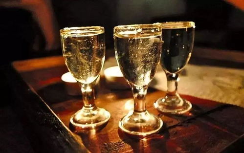 金樽黑酒 與講究者共飲，一場流動的儀式